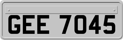 GEE7045