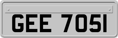 GEE7051