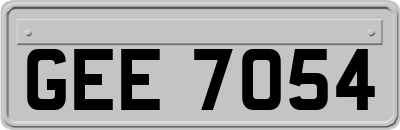 GEE7054