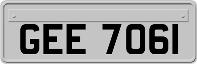 GEE7061