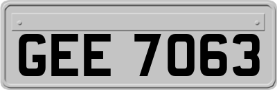GEE7063