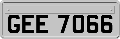 GEE7066