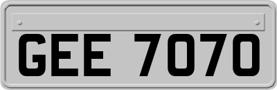 GEE7070