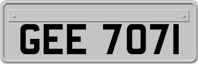 GEE7071