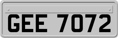 GEE7072