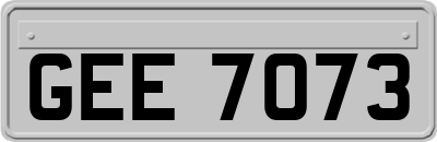 GEE7073