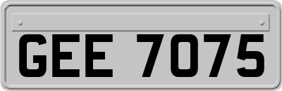 GEE7075