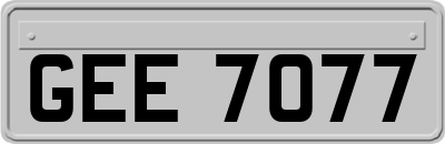 GEE7077