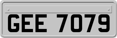 GEE7079