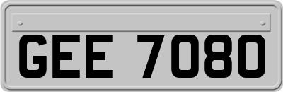 GEE7080