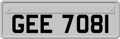 GEE7081