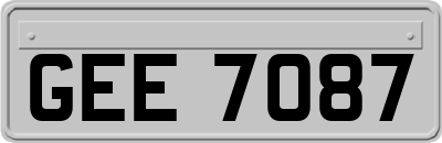 GEE7087