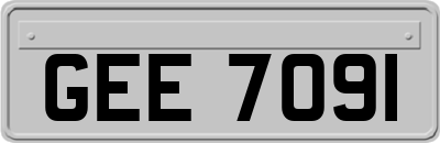 GEE7091
