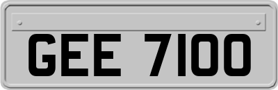 GEE7100