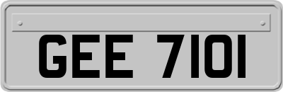 GEE7101