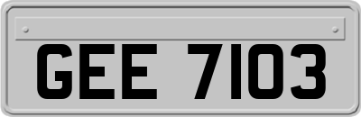 GEE7103