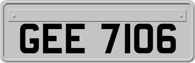GEE7106