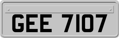 GEE7107