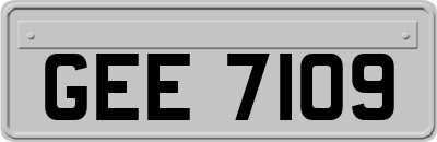 GEE7109