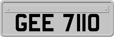GEE7110