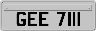 GEE7111
