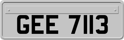 GEE7113