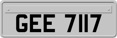 GEE7117