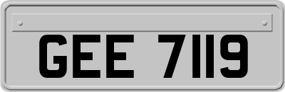GEE7119