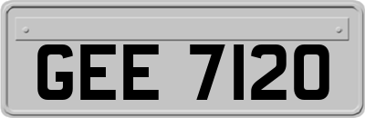 GEE7120