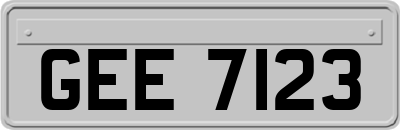 GEE7123