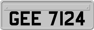 GEE7124
