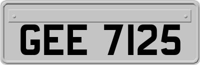 GEE7125