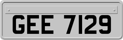 GEE7129