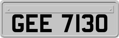 GEE7130