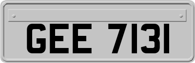 GEE7131