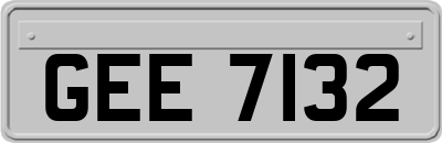 GEE7132