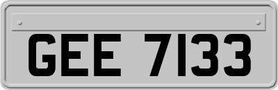 GEE7133