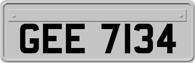 GEE7134