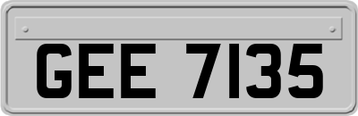 GEE7135