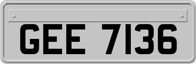 GEE7136