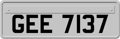 GEE7137