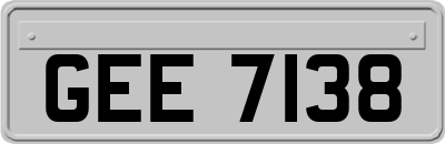 GEE7138