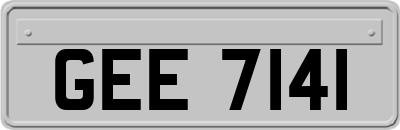 GEE7141