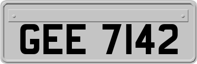 GEE7142