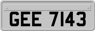 GEE7143