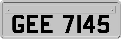 GEE7145