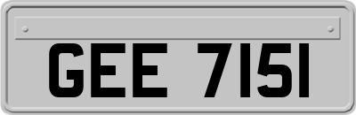 GEE7151