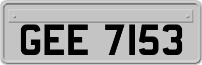GEE7153