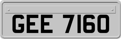 GEE7160