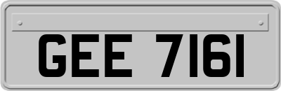 GEE7161